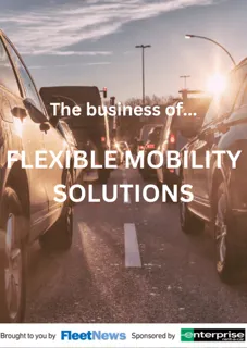Enterprise - the business of flexible mobility solutions