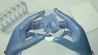 Somebody holding silicon carbide wearing rubber, protective gloves 